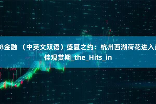 K8金融 （中英文双语）盛夏之约：杭州西湖荷花进入最佳观赏期_the_Hits_in