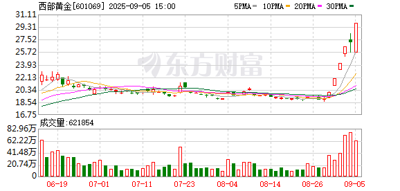 龙辉优配 西部黄金：第五届董事会第二十一次会议决议公告