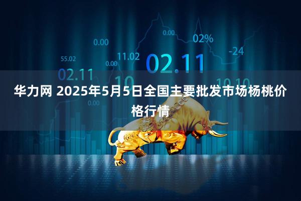 华力网 2025年5月5日全国主要批发市场杨桃价格行情