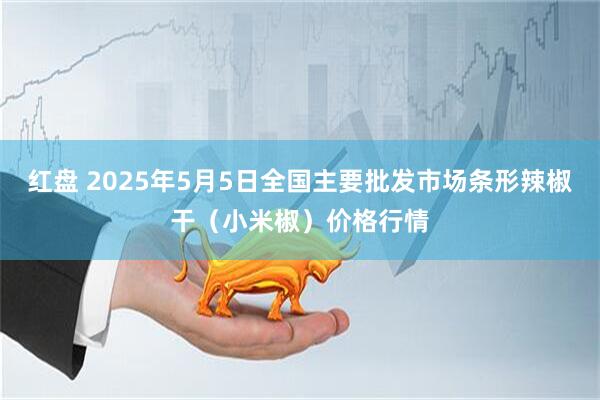 红盘 2025年5月5日全国主要批发市场条形辣椒干（小米椒）价格行情