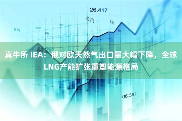 真牛所 IEA:俄对欧天然气出口量大幅下降,全球LNG产能扩张重塑能源格局